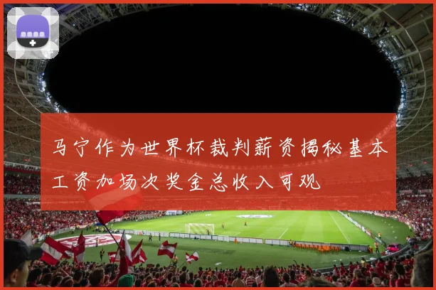 马宁作为世界杯裁判薪资揭秘基本工资加场次奖金总收入可观